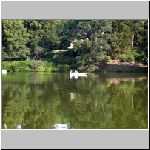 Cevena Lhota 3.9.2008 10-17-43.JPG